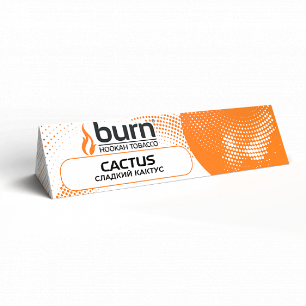 Табак BURN CACTUS 25 грамм в Красноярске