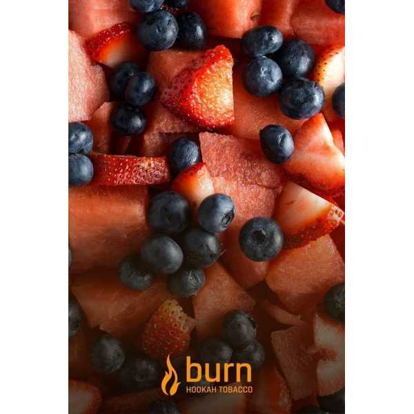 Табак Burn Berried Treasure 100 грамм в Красноярске