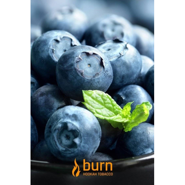 Табак Burn Blueberry Mint 100 грамм в Красноярске
