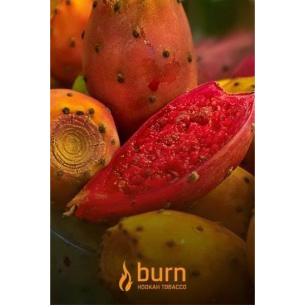 Табак Burn Cactus 100 грамм в Красноярске