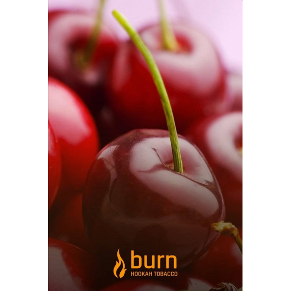 Табак Burn Candy Cherry 100 грамм в Красноярске