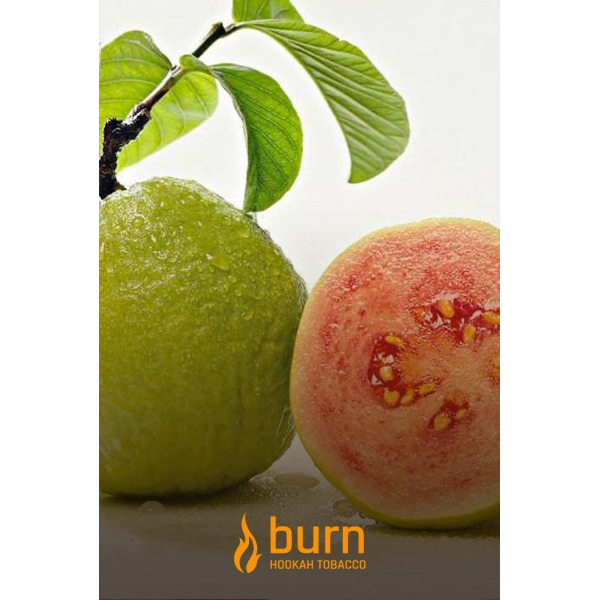 Табак Burn Guava 100 грамм в Красноярске