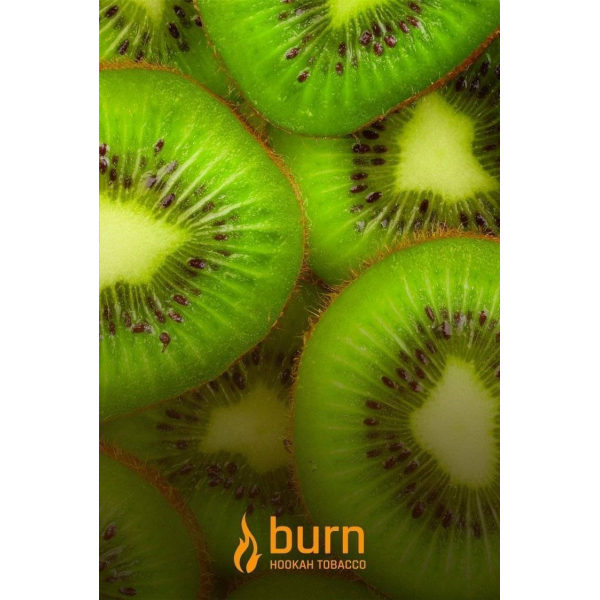 Табак Burn Kiwi 100 грамм в Красноярске