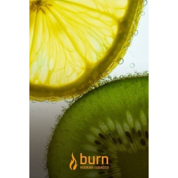 Табак Burn Kiwi Lemon 100 грамм в Красноярске