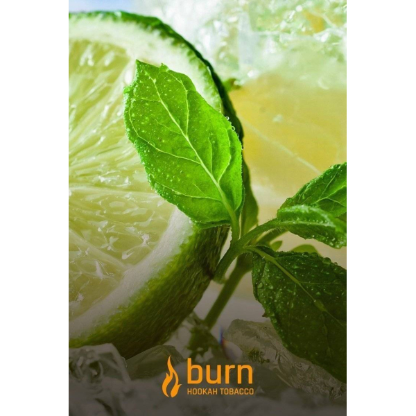 Табак Burn Lemon Mint 100 грамм в Красноярске