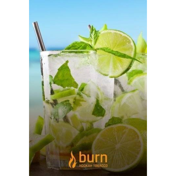 Табак Burn Mojito 100 грамм в Красноярске