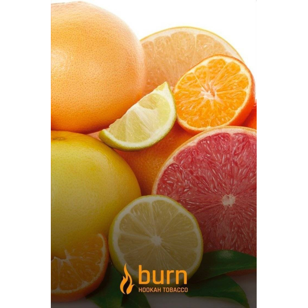 Табак Burn SundaySun 100 грамм в Красноярске
