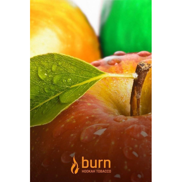 Табак Burn Three Apples 100 грамм в Красноярске