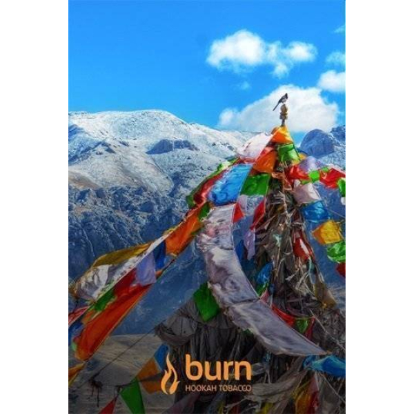 Табак Burn Tibet 100 грамм в Красноярске