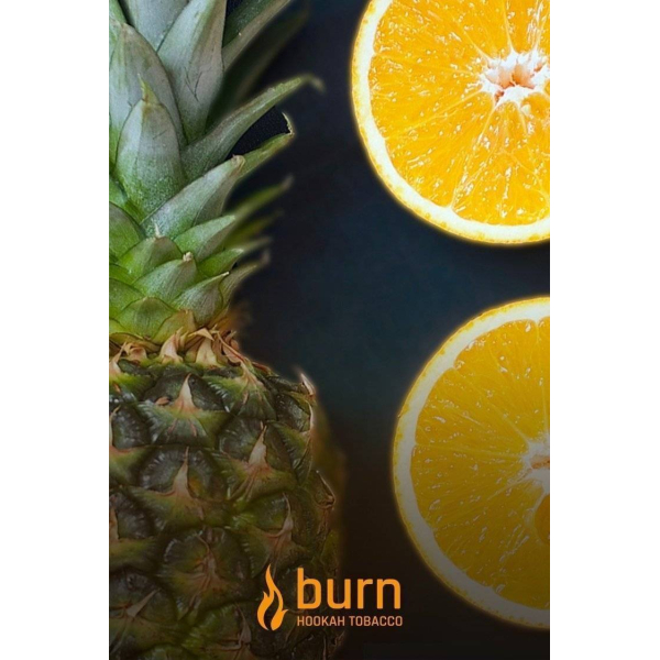 Табак Burn White Night 100 грамм в Красноярске