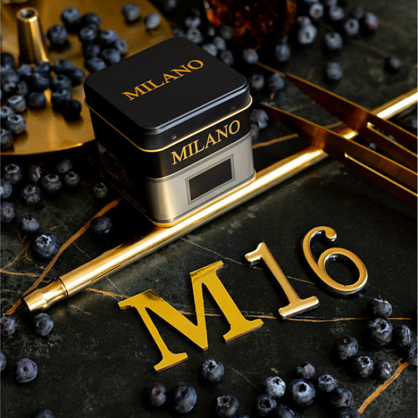 Табак MILANO GOLD М16 BILBERRY 100 гр в Красноярске