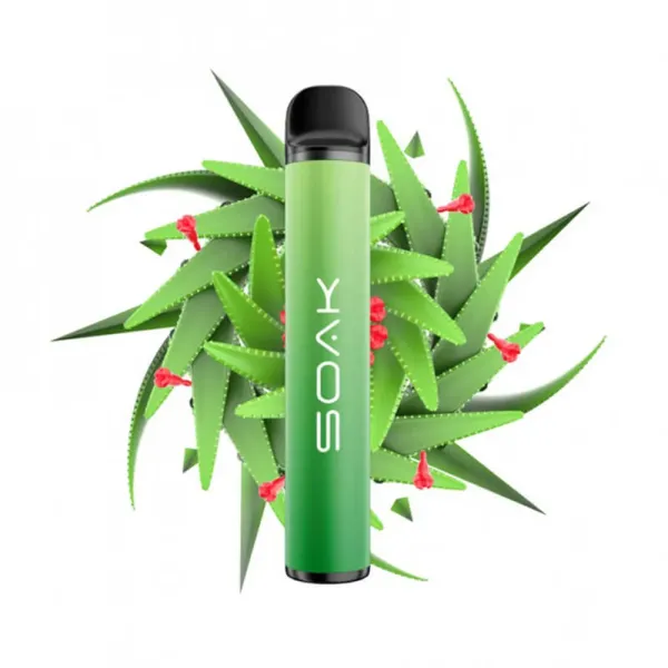 SOAK X Aloe Vera (Алое Вера), 1500 тяг в Красноярске
