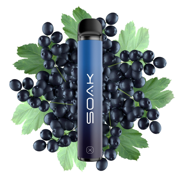 SOAK X Forest Blackcurrant (Лесная черная смородина), 1500 тяг в Красноярске