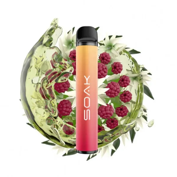 SOAK X Jasmin Raspberry Tea (Жасминовый чай с малиной), 1500 тяг в Красноярске