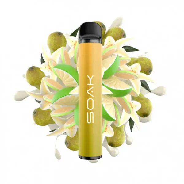SOAK X Vanilla Pear (Ванильная груша с лаймом), 1500 тяг в Красноярске