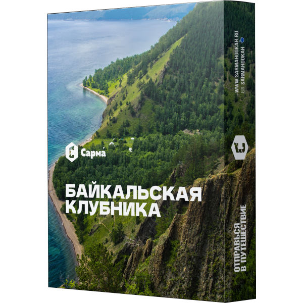 Табак Сарма Байкальская Клубника 25 гр в Красноярске