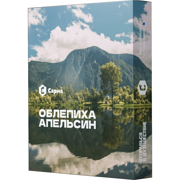 Табак Сарма Облепиха Апельсин 25 гр в Красноярске