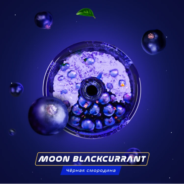 Паста Space Smoke BASIC Moon  Blackcurrant (Черная  смородина) 30 гр в Красноярске