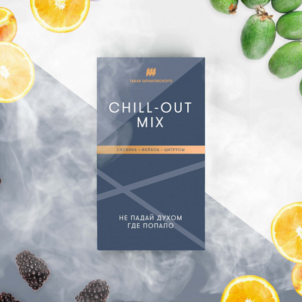 Табак Шпаковского Chill Out (Ежевика Фейхоа Цитрусы) 40 грамм в Красноярске