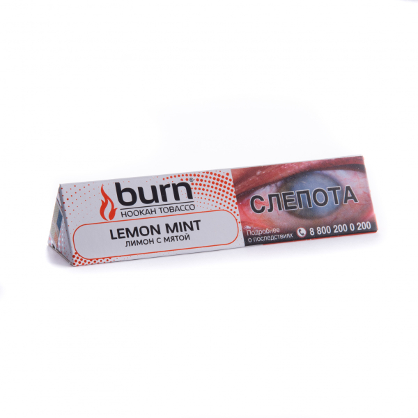 Табак Burn Lemon Mint  25 грамм в Красноярске